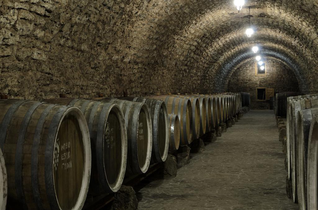 بيت ريفي Prince Trubetskoi Winery *